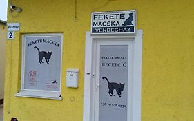 Fekete Macska Vendeghaz